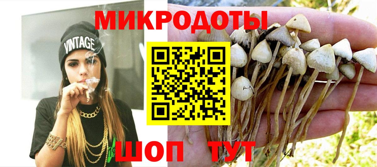 Псилоцибиновые грибы Psilocybe  Вход с VPN  Ачинск 